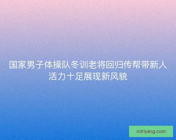 国家男子体操队冬训老将回归传帮带新人活力十足展现新风貌